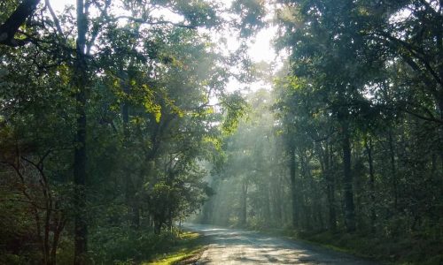 Snapinsta.app_268623070_335304301429349_688589873097304128_n_1080